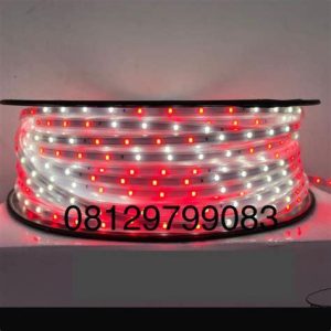LED HIAS SELANG 17AN RGB 100M MEIWA