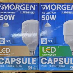 LED MORGEN 30W CAPSUL