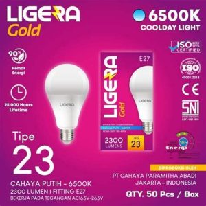 LED PANTES 21W GOLD