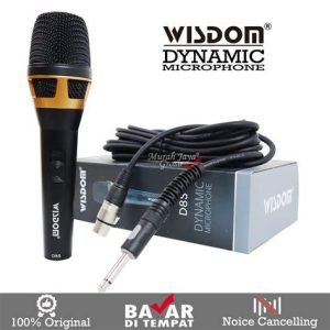 MIC WISDOM D8S