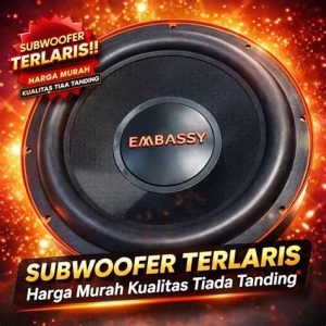SUBWOOFER EMBASSY EM1289