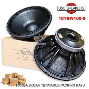 SPEAKER 18TBW100