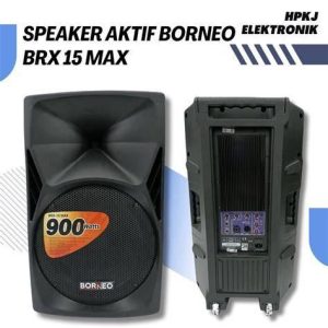 SPEAKER BORNEO 15MK75