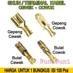SKUN GEPENG FEMALE
