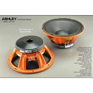 SPEAKER ASHLEY MF1230 12INCH