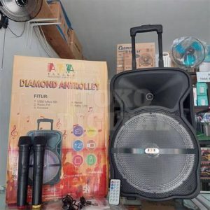 SPEAKER PORTABLE TANAKA 12 EKONOMI