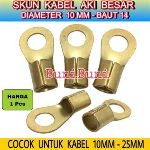 SKUN AKI BIASA