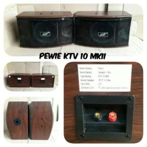 AMP/SPEAKER MEETING PEWIE 10 INCH UFO