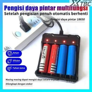 CHARGER BATTERY MULTI 3.7V 500MA ISI 2
