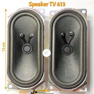 SPEAKER TV 613 MB