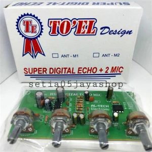 KIT EVO SPR DGT ECHO +2MIC TOEL